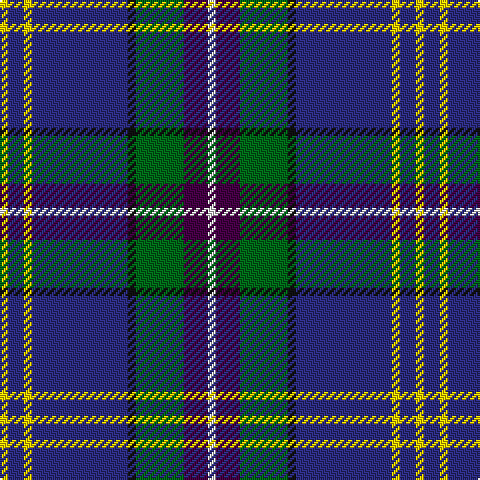 Y/4 DB8 Y4 DB48 K4 G24 DP12 LN/4 tartan Tartan detail