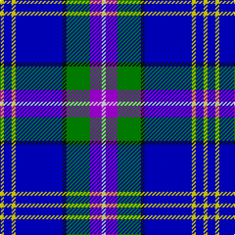 Y/4 B8 Y4 B48 K4 G24 P12 W/4 tartan Tartan detail