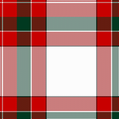 R/8 W4 R56 DG56 W4 R56 K4 W/200 tartan Tartan detail