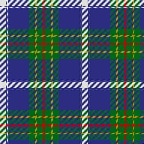 LN/20 DB4 LN2 DB70 G20 DY6 G20 R/8 tartan Tartan detail