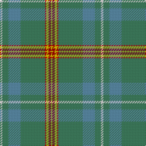 LN/4 G10 B20 G40 R2 Y4 DR4 Y/2 tartan Tartan detail