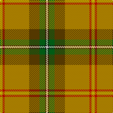Y/4 DY2 R4 DY52 T22 G12 K2 W/4 tartan Tartan detail