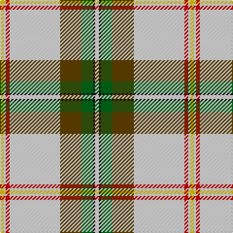 Y/4 LN2 R4 LN52 T22 G12 K2 LN/4 tartan Tartan detail