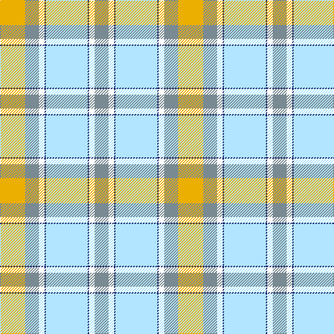 Y/36 LG20 W8 DB2 LB60 DB2 W8 LG/20 tartan Tartan detail