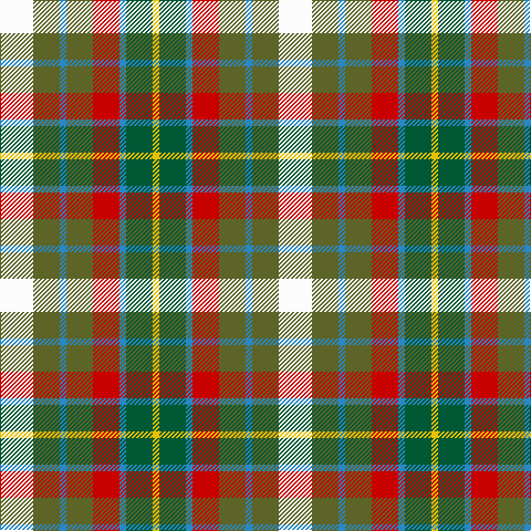 W/30 G24 B6 G24 R24 B6 Ga24 Y/6 tartan Tartan detail