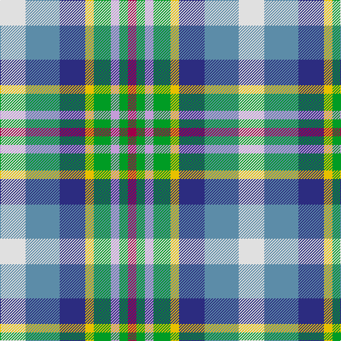 LN/36 B48 DB36 Y12 G24 LP12 G12 R/12 tartan Tartan detail