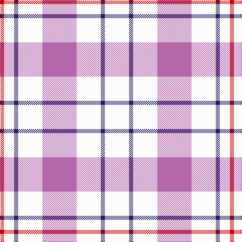R/8 W20 DB8 W48 P68 W48 DB8 W/48 tartan Tartan detail