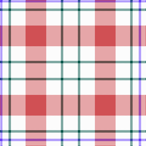 P/8 W20 G8 W48 DO68 W48 G8 W/48 tartan Tartan detail