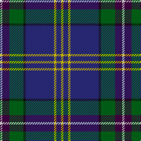 LN/4 DP12 G24 K4 DB48 Y4 DB8 Y/4 tartan Tartan detail