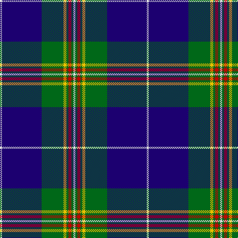 LN/4 DB80 G44 Y6 G4 R6 G4 LN/4 tartan Tartan detail