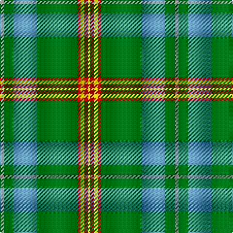 LN/4 G10 B24 G42 R3 Y4 DR4 Ya/2 tartan Tartan detail