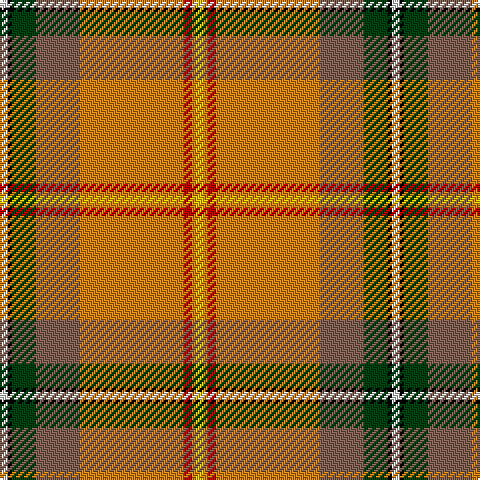LN/4 K2 DG12 LT22 O52 R4 O2 Y/4 tartan Tartan detail