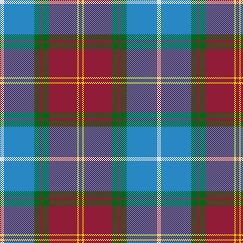DR/6 Y4 DR56 G12 DR4 G12 B60 LN/8 tartan Tartan detail