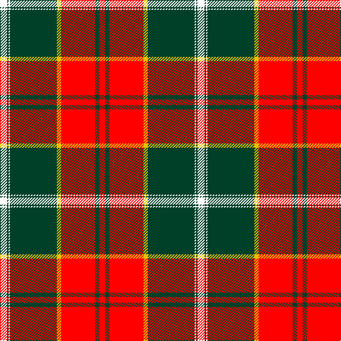 W/10 DG2 W2 DG66 Y6 R48 DG6 R/8 tartan Tartan detail