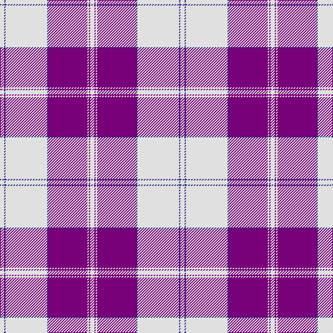 LN/6 DB2 LN60 DB2 P56 LN2 P2 LN/6 tartan Tartan detail