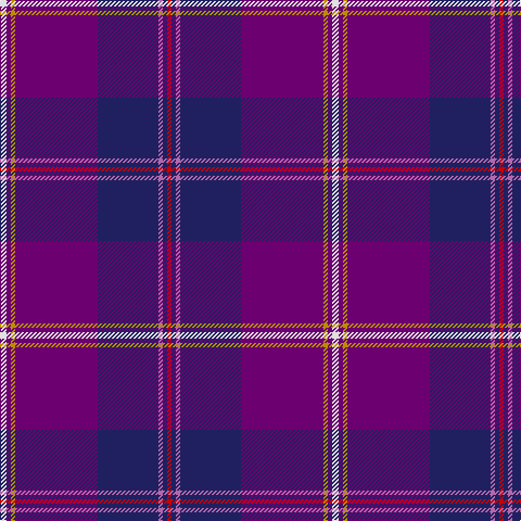 LN/6 Pa4 DY4 Pa76 DB56 P4 DB4 R/4 tartan Tartan detail