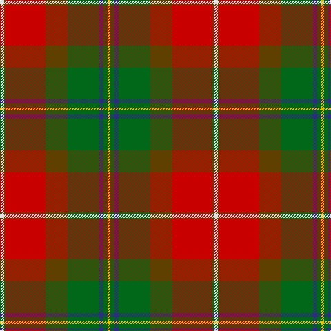 LN/6 T2 R58 T32 G46 DB6 G6 Y/4 tartan Tartan detail