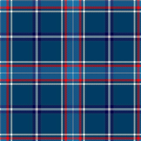 N/3 B19 R8 DBa6 W6 DBa69 DB10 N/8 tartan Tartan detail