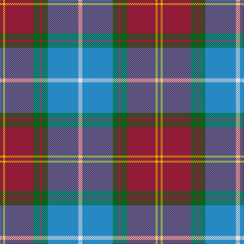 DR/6 Y4 DR56 G12 DR4 G12 B60 LN/8 tartan Tartan detail