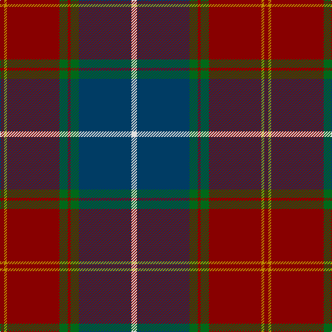 DR/6 DY4 DR76 G12 DR4 G12 DB76 LN/8 tartan Tartan detail
