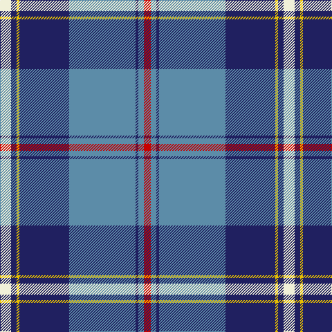 LY/16 DB8 Y4 DB72 B96 DB4 B8 R/10 tartan Tartan detail