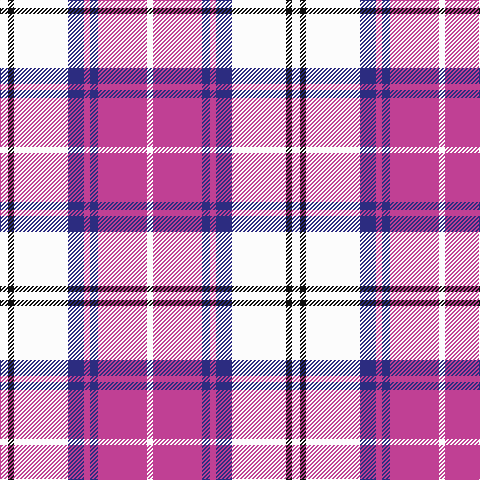 W/8 K6 W54 DB16 P6 DB8 P49 W/6 tartan Tartan detail