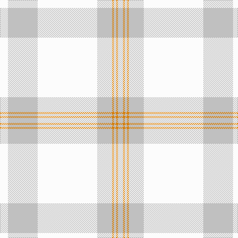 W/16 N60 W120 N30 O4 N4 O4 N/10 tartan Tartan detail