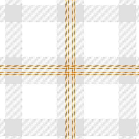 W/16 LN60 W120 LN30 O4 LN4 O4 LN/10 tartan Tartan detail