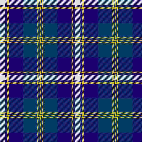 LN/18 DB6 Y6 DB48 DBa48 Y4 DBa4 Y/4 tartan Tartan detail