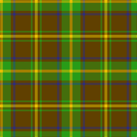 Y/10 G28 T8 DB8 T54 G6 T8 Y/10 tartan Tartan detail