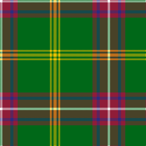 W/8 DR26 DB10 DR14 G106 Y6 G6 Y/10 tartan Tartan detail