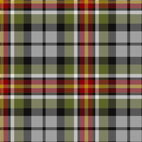 DY/12 DR16 K8 LN12 G32 K26 N38 K/10 tartan Tartan detail