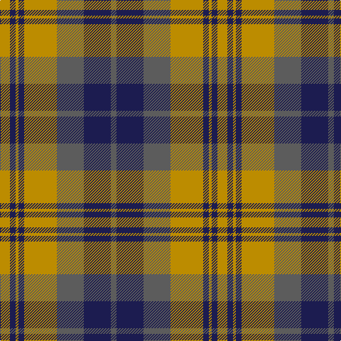 DY/14 DB8 DY4 DB8 DY46 N38 DB38 N/8 tartan Tartan detail