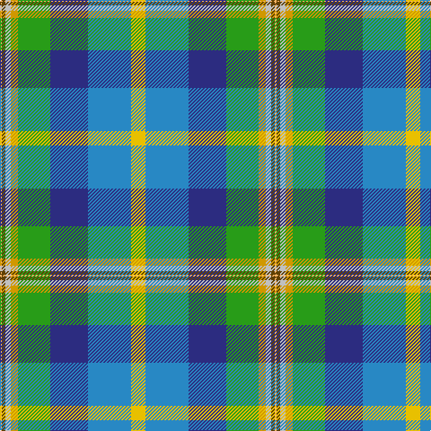 LG/2 T4 N6 DY8 G36 DB42 B48 Y/16 tartan Tartan detail