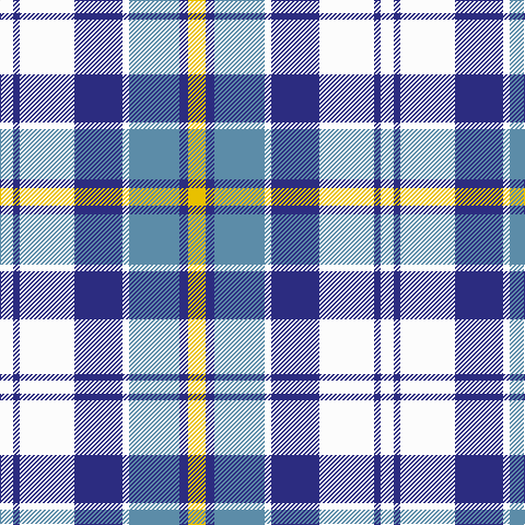 W/12 DB6 W50 DB44 W6 B46 DB8 Y/16 tartan Tartan detail