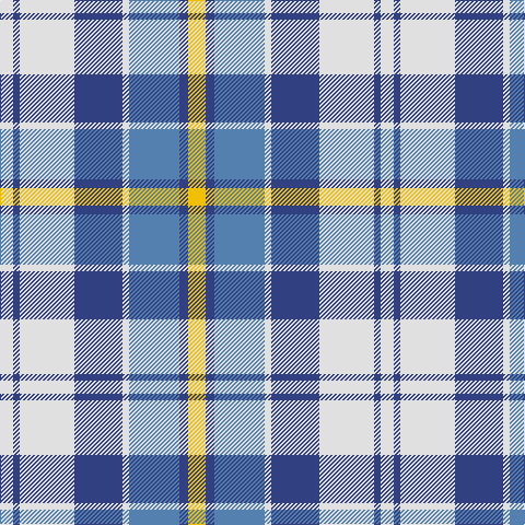 LN/12 B6 LN50 B44 LN6 Ba46 B8 Y/16 tartan Tartan detail