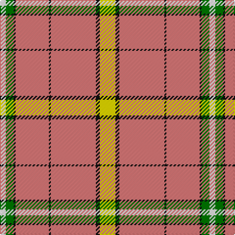 W/6 G8 K2 LR34 K2 LR46 K4 Y/16 tartan Tartan detail