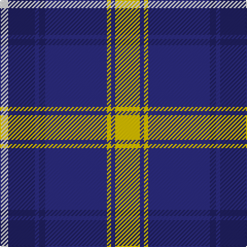 LN/8 DBa26 DB4 DBa6 DB60 Y4 DB4 Y/24 tartan Tartan detail