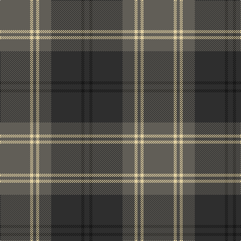 N/60 LR6 N6 LR6 N24 DN60 K6 DN/10 tartan Tartan detail