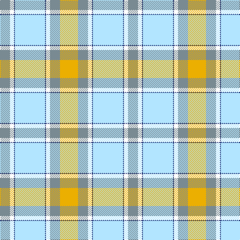 LG/20 W8 DB2 LB60 DB2 W8 LG20 Y/36 tartan Tartan detail