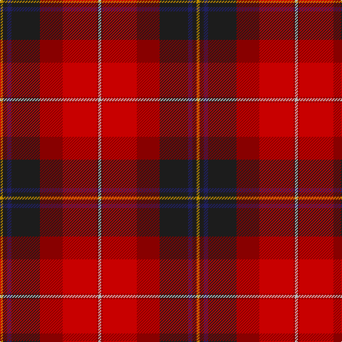 DY/4 K6 DB6 K40 DR32 R48 DR2 N/4 tartan Tartan detail