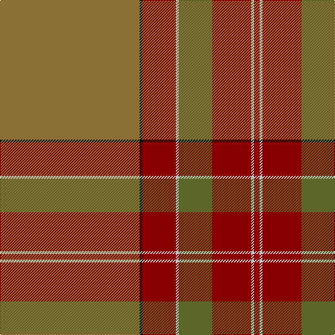 LT/200 K4 DR48 N4 G48 DR56 N4 DR/8 tartan Tartan detail