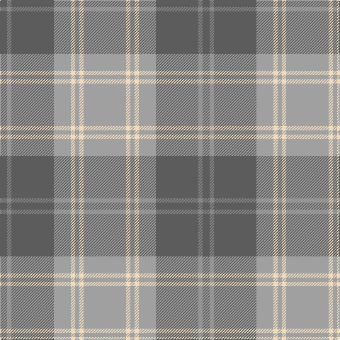N/10 Nb6 N60 Na24 W6 Na6 W6 Na/60 tartan Tartan detail