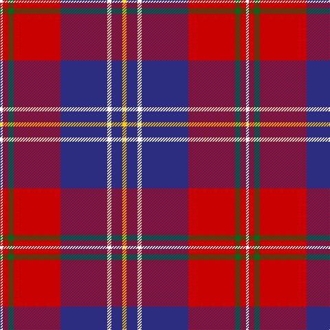 W/4 R8 G8 R68 DB68 W6 DB16 Y/6 tartan Tartan detail