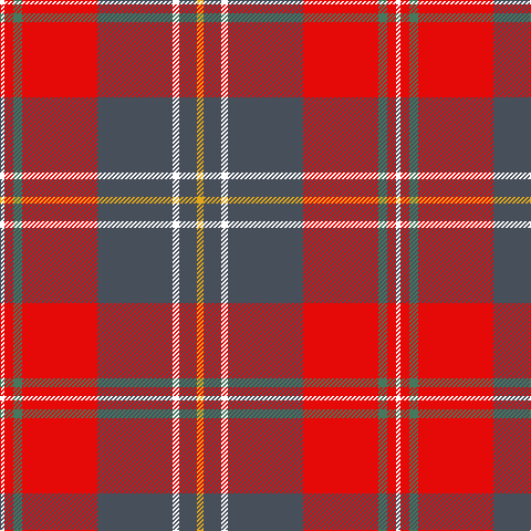 W/4 R8 G8 R68 N68 W6 N16 Y/6 tartan Tartan detail