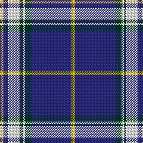 LG/6 DB8 W20 DG4 W4 DG10 DB68 Y/6 tartan Tartan detail