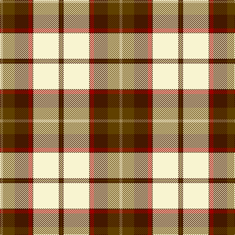LT/6 T24 DR28 DRa8 DR2 LY52 DR4 T/2 tartan Tartan detail