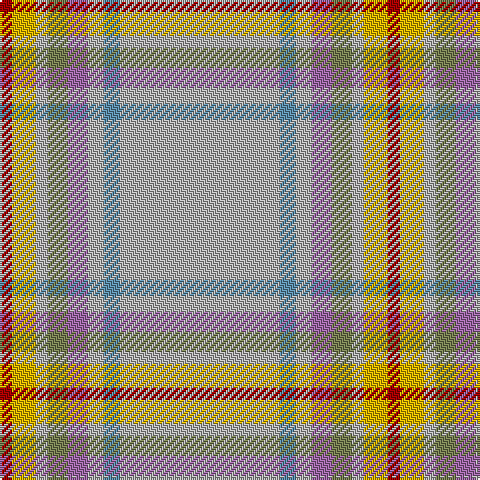 DR/6 Y12 N6 G10 LP10 N8 B8 N/80 tartan Tartan detail