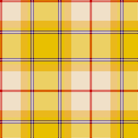 R/8 W64 Ya24 Y10 DB4 W4 DB4 Y/84 tartan Tartan detail