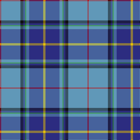 R/4 B66 K10 DB6 G4 B10 DB48 Y/8 tartan Tartan detail